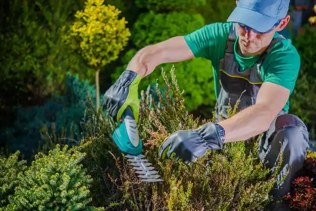 landscaping services Clyde